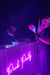Pink Party - comprar online