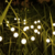 Imagen de Luces Exteriores Estilo Luciernagas con Panel Solar x2 Unidades