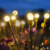 Luces Exteriores Estilo Luciernagas con Panel Solar x2 Unidades - Tu Hogar