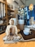 Buddha de Madera en internet