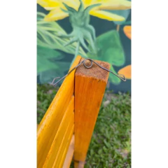 Resorte Pinza Orsi - Apícola Danangie