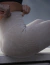 Calza seamless BAE - beige en internet