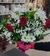 Buque 03 Rosas Celofane