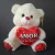 Pelucia Urso C/ Coração Escritas M - comprar online