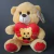 Pelucia Urso C/ Coração Escritas M na internet