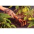 Ancinho c/ Cabo de Madeira - comprar online