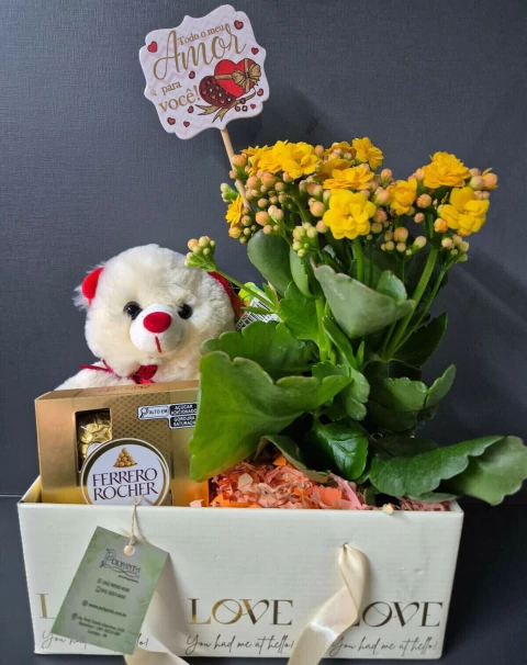 Calanchoe Com Pelucia e Ferrero