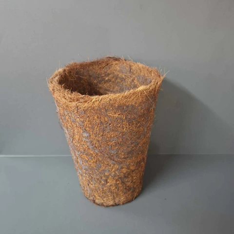 Vaso de Coco Cone G