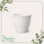 Cachepô Rattan Mini Redondo Branco