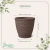 Cachepô Rattan Mini Redondo Coffee - comprar online