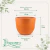 Vaso Concept Redondo Terracota N0 - comprar online
