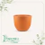 Vaso Concept Redondo Terracota N0