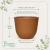 Vaso Concept Redondo Terracota N1 - comprar online