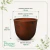Vaso Concept Redondo Aço Corten N2 - comprar online