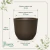 Vaso Concept Redondo Cafe N2 - comprar online