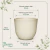 Vaso Concept Redondo Cimento N2 - comprar online