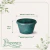 Cuia de Plástico com Prato N 00 Verde Guatemala - comprar online