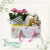 Calanchoe Com Pelucia e Ferrero - comprar online
