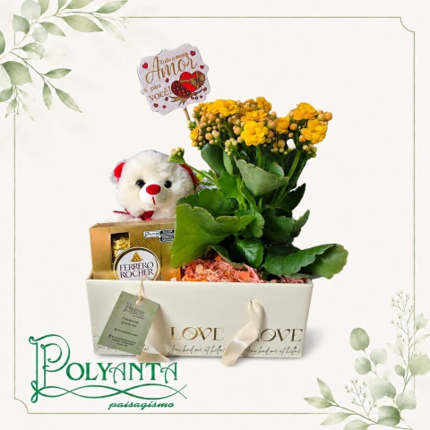 Calanchoe Com Pelucia e Ferrero