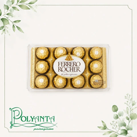 Ferrero Rocher C/ 12 Unid