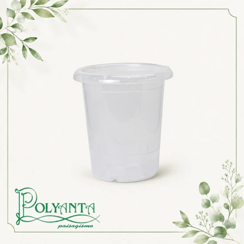 Vaso Cymbidium N 01 Transparente