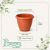 Vaso de Plástico Red Romano N 00 Cerâmica - comprar online