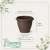 Vaso de Plástico Red Romano N 00 Tabaco - comprar online