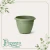 Vaso de Plástico Red Romano N 02 Verde Boldo
