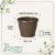 Vaso de Plástico Red Primavera 02 Marrom Avelã - comprar online