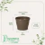 Vaso de Plástico Red Primavera 03 Marrom Avelã - comprar online