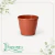 Vaso de Plástico Red Primavera 04 Cerâmica