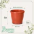 Vaso de Plástico Red Primavera 05 Cerâmica - comprar online