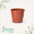 Vaso de Plástico Red Primavera 05 Cerâmica
