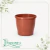 Vaso de Plástico Red Primavera 06 Cerâmica