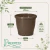 Vaso de Plástico Red Primavera 06 Marrom Avelã - comprar online