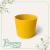 Vaso Ceramico Hanover Mostarda 16 - comprar online