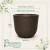 Vaso Concept Redondo Cafe N3 - comprar online