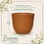 Vaso Concept Redondo Terracota N3 - comprar online