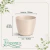 Cachepô Elegance Redondo 02 Travertino - comprar online