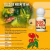 Oleo De Neem 15 ML - comprar online