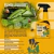 Inseticida Fumo Líquido 500 ML - comprar online