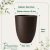 Vaso Concept Conico Café N1 - comprar online