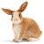 Conejo Schleich Farm World Juguete Educativo 4.32 cm