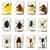 Colección de Insectos en Resina POKIPHIP 12 Piezas Educativa