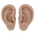 Modelo de Oreja de Silicona Luqeeg 17x8.6 cm para Perforación