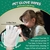 Toallitas Hipoalergénicas para Perros y Gatos CHPPEY 10 pcs - comprar online
