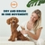Secador de Pelo 2 en 1 KUUBIA para Perros y Gatos Pequeños 300W - comprar online