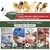 Tazas de Agua para Pollos Psarnuk - Paquete de 16 Verde - comprar online