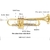 Trompeta Bb AUROSUS SB710 latón dorado 1,16 cm profesional - comprar online