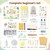 Kit de Cerámica Ohanniewa para Principiantes con 12 Pinturas - comprar online